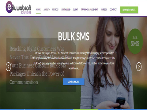 web development in bhubaneswar